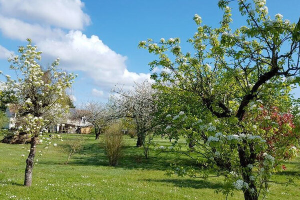 printemps